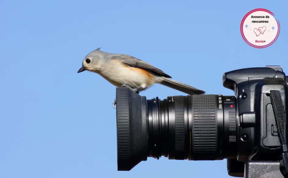 Un animal qui tient la pose à Ploemeur 📷🐾